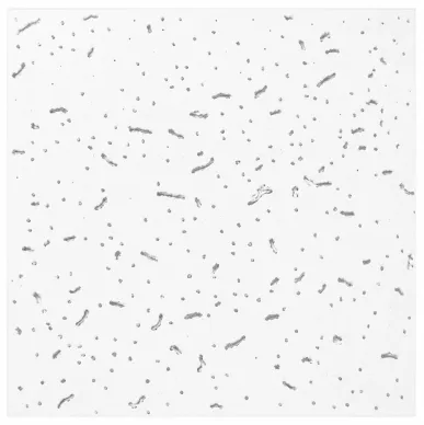 SMART FIX -GALAXY Ceiling Panel