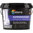 Water based paints